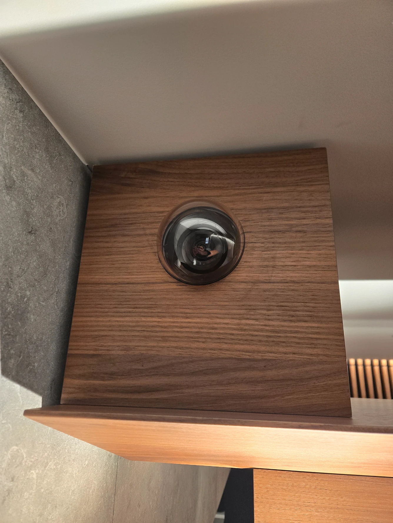 Discreet geïntegreerde domecamera in een houten meubelpaneel, afgestemd op het interieur