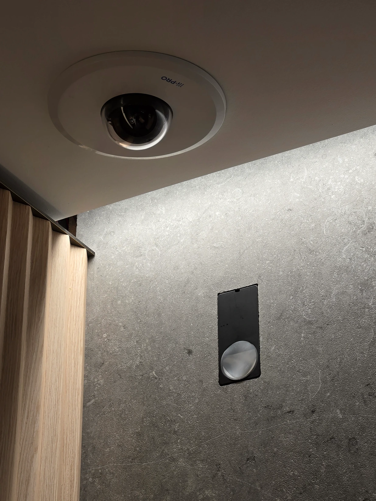 Domecamera ingebouwd in het plafond naast een inbouwdetector in een natuursteenwand